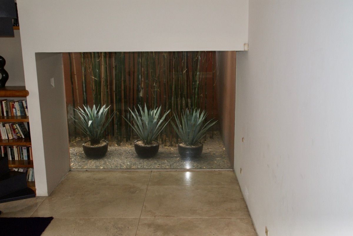 255, Bosque de Framboyanes, Bosque de las Lomas, 11700 255, Bosque de Framboyanes, Bosque de las Lomas, 11700